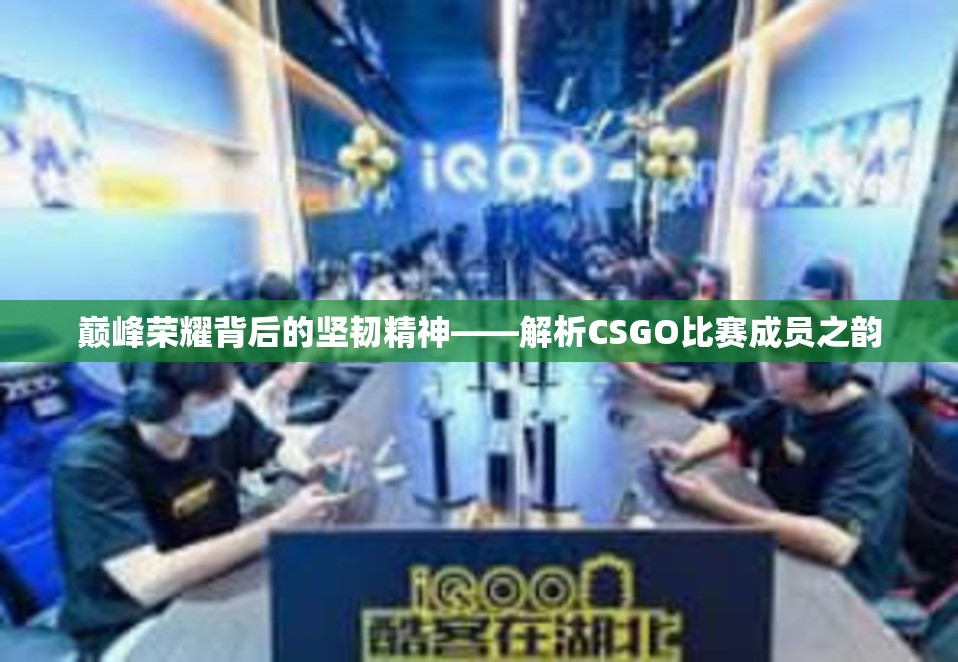 巅峰荣耀背后的坚韧精神——解析CSGO比赛成员之韵