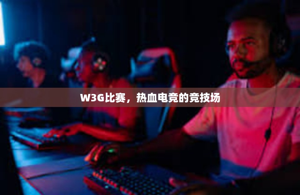 W3G比赛，热血电竞的竞技场